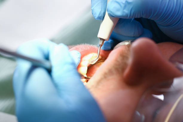 Best Emergency Pediatric Dentist  in Marinette, WI